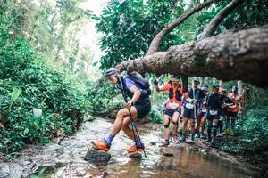 BIB: 
                            <button type="button" onclick="openModal(25372009)" class="btn btn-primary btn-sm float-right btn-popup" data-toggle="modal" data-target=".modal-high-quality">
                        <i class="fas fa-shopping-cart"></i> Add to Cart
                    </button>
                                            <button type="button" onclick="isThisMe(25372009, true)" class="btn btn-success btn-sm float-right btn-popup btn-isme hidden" data-toggle="tooltip" data-placement="bottom" title="นี่คือรูปของคุณใช่ไหม คลิกที่นี่เพื่อเอาเข้าอัลบั้ม">
                        <i class="fas fa-plus"></i> Add to album
                    </button>
                    <button type="button" onclick="isThisMe(25372009, false)" class="btn btn-warning btn-sm float-right btn-popup btn-isnotme hidden">
                        <i class="fas fa-ban"></i> Remove from album
                    </button>